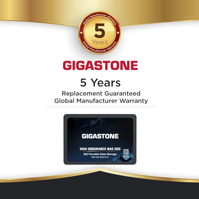 Gigastone 2TB NAS SSD Drive (2-Pack) 24/7 Durable TLC High Endurance RAID Data Storage Network Attached Storage 2.5" SATA Internal Solid State Hard Drives