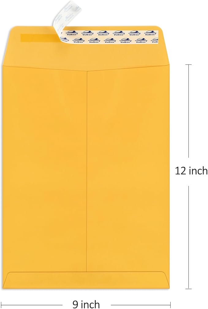 ValBox 9x12 Self Seal Security Catalog Envelopes 250 Packs Brown Kraft Envelopes with Peel and Seal Flap for Mailing, Organizing and Storage