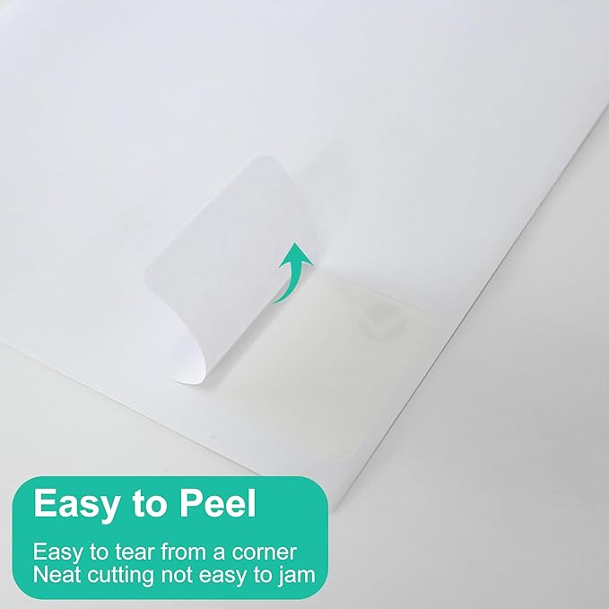 L LIKED 2" x 4" Label Stickers, Printable White 10 per Sheets Total 1000 Labels for Laser/Inkjet Printing - Matte (1000 Labels)