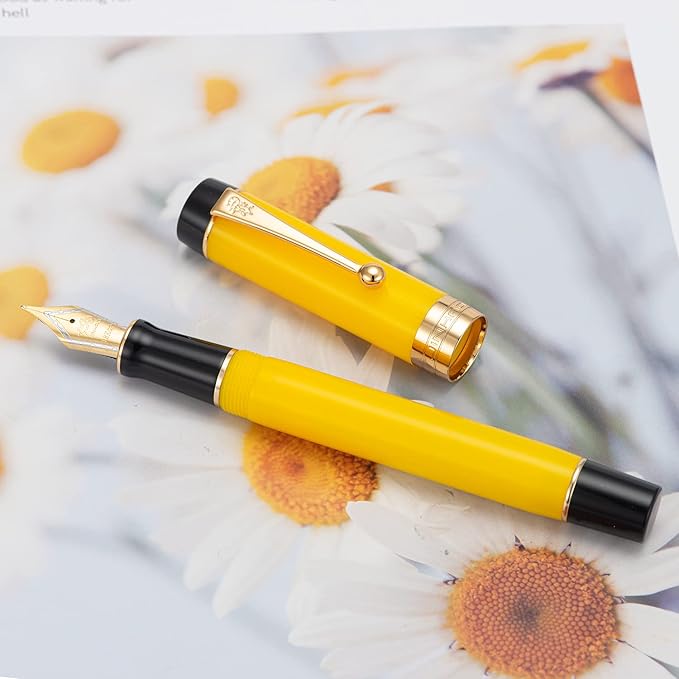 Jinhao 100 Fountain Pen Celluloid Classic Style, #6 Nib Smooth Writing Instrument with Refillable Converter and Pen Case Set