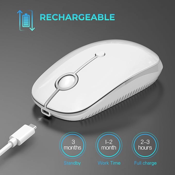 Type C Wireless Mouse,Vssoplor USB C Mouse Dual Mode 2.4G Cordless Mice with Nano USB and Type C Receiver Compatible with PC, Laptop, MacBook and All Type C Devices-White Silver