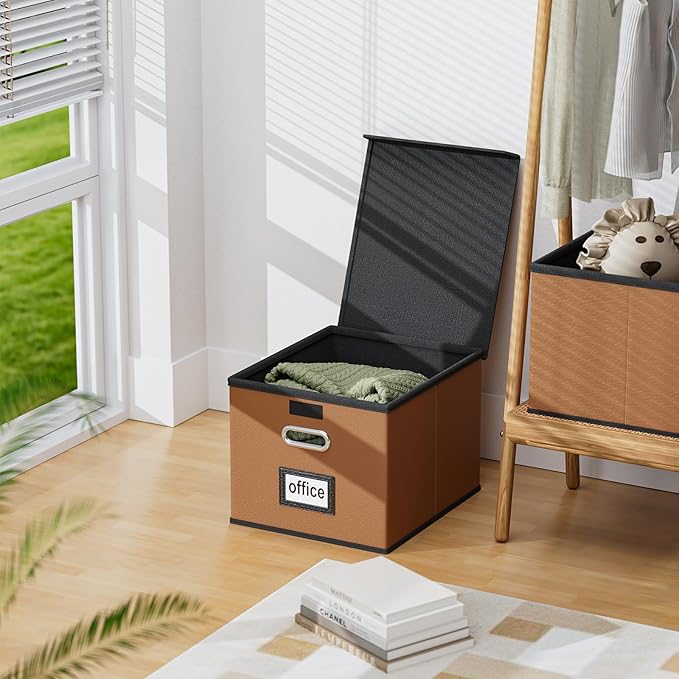 Huolewa File Organizer Boxes with Lids, Collapsible Faux Leather Hanging File Folder Box Organizer with Plastic Slide, Decorative Home/Office Filing System Boxes for File and Folders Storage