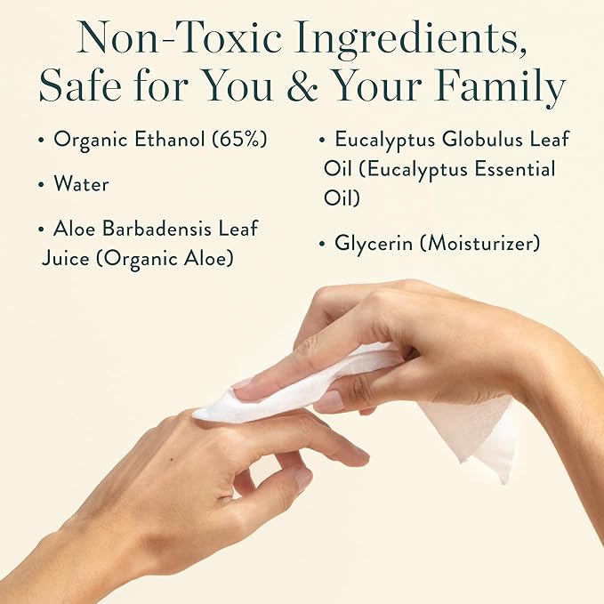 Biom Biodegradable Hand Sanitizing Mini Wipes 8-Pack Refill Kit - Kid-Safe | Plant-Based Hand Wipes for Home & Travel | Natural, Non-Toxic Wet Wipe with Aloe for Soft Skin | Eucalyptus Chill