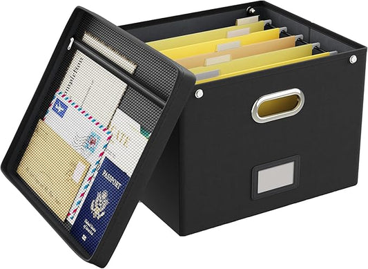 Oterri File Organizer Box with Lid,Large Hanging Filing Box with Mesh Pocket, Document c for Letter Files, Portable Storage Case with Smooth Sliding Rail for Office&Home (1 PCS, Black)