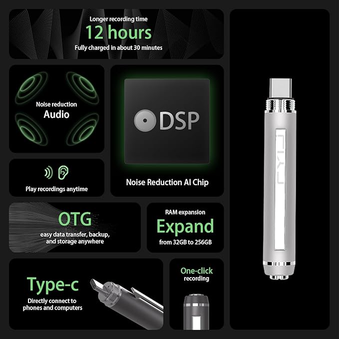 3 in1Luxury Rollerball Pen,USB-C,USB Flash Drive,with Pen Design, with Smooth Writing, Medium Point Black Ink,Portable Memory Stick, Compatible with Laptop,Smartphones (Silver, 64, GB)