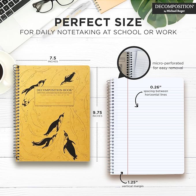 Decomposition 3-Pack Feathered Friends College Ruled Spiral Notebook - 9.75 x 7.5 Journal, 160 Lined Pages - 100% Recycled Paper - Notebooks for School Supplies, Home & Office - Made in USA