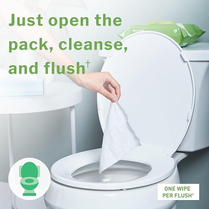 McKesson Flushable* Adult Wet Wipes – 576 Wipes (12 Pack of 48) – Aloe & Vitamin E, Plant-Based Cleansing Wipes, Unscented