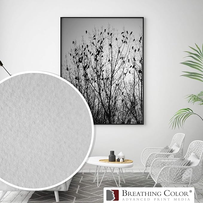 Elegance Velvet 17 in x 10 ft roll is a Premium Matte 310 gsm, Cold Pressed Bright White Museum Grade Fine Art Inkjet Paper, Compatible with Most Dye-Based and Pigment Printers