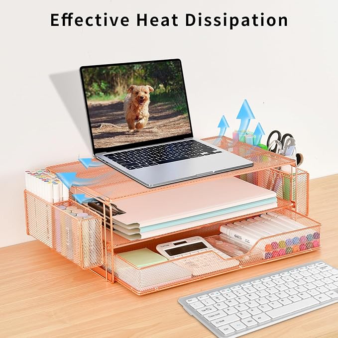 AUPSEN Computer Monitor Stands Riser,2-Tier Desk Organizers and Accessories, Office Desk Accessories Organizer with Drawers and 2 Pen Holder for Office Supplies (Rose Gold)