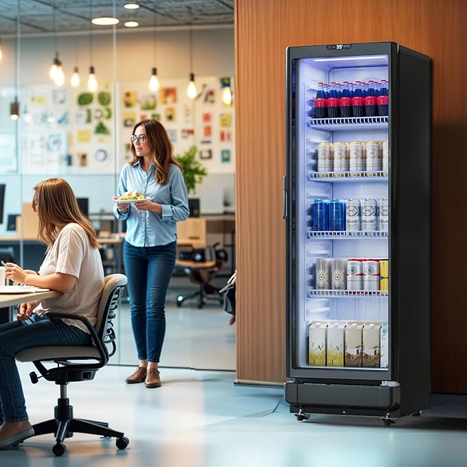 YITAHOME 8.5 CU.FT. Commercial Beverage Display Refrigerator with Single One Glass Door, Drink Beer Fridge Cooler for Office Garage Bar Gym with Locking, Led & 2 Keys