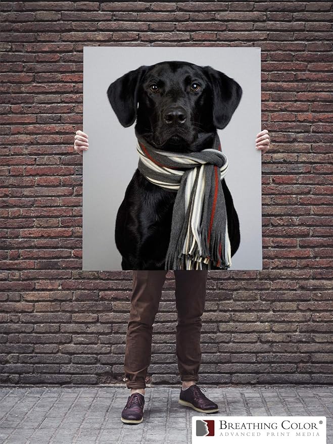 Premium Lyve Matte Canvas Paper Perfect For Use on Professional Makes and Models of Epson, Canon and HP printers preferred by Professionals. 19 mil textured Canvas offered in a 17 inch by 10 ft roll