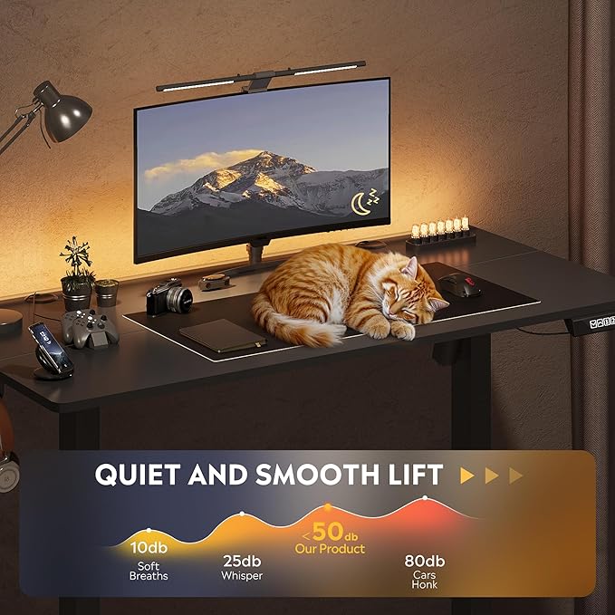 DEVAISE 48 Inch Electric Standing Desk, 3 Adjustable Height Stand up Desk for Home Office, Ergonomic Sit to Stand Desk with LED Touchscreen, Headphone Hook, 3 Memory Preset Computer Desk (Black)