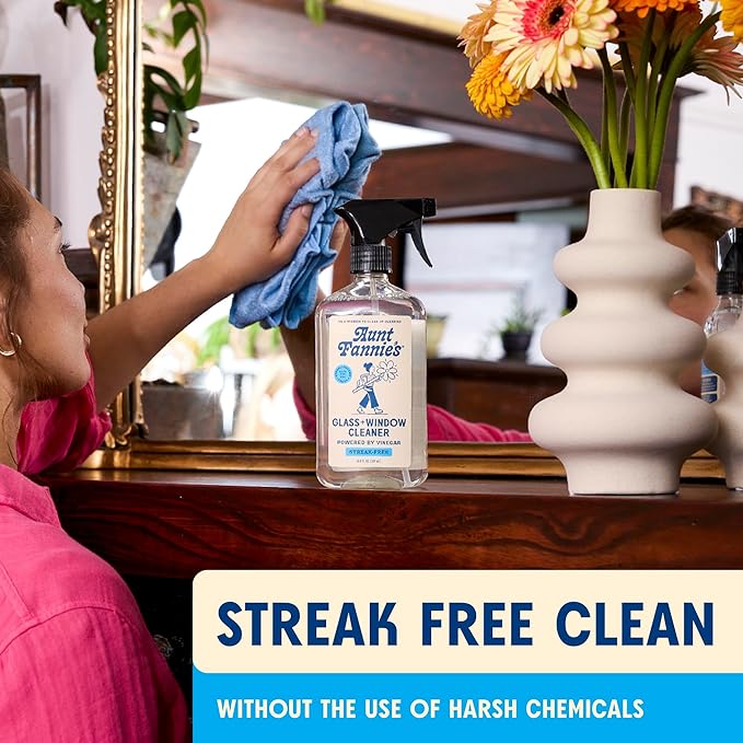 Aunt Fannie's Glass & Window Cleaning Vinegar Spray, Natural Streak-Free Spray, 16.9 Ounces (Pack of 6)