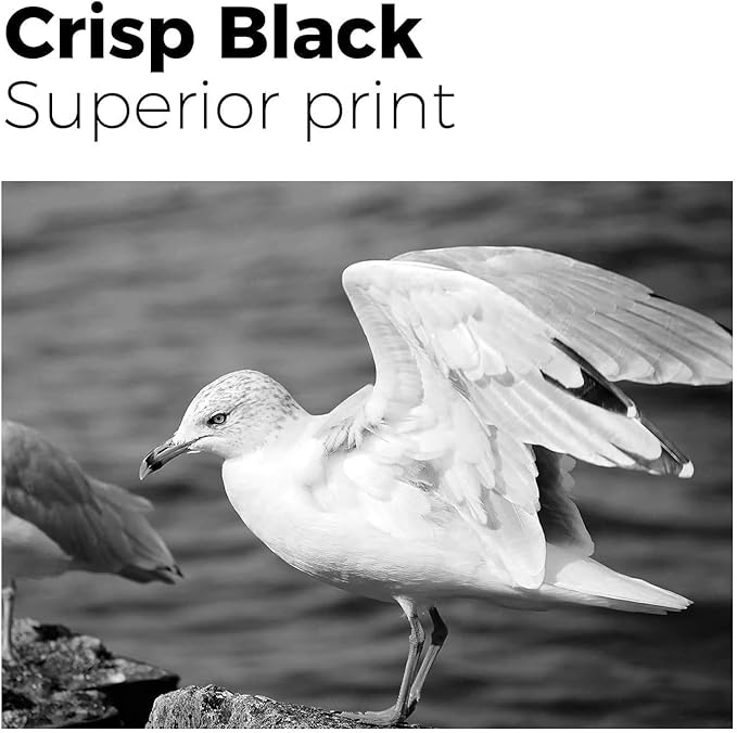 myCartridge 812XL Ink Cartridge Combo Pack Remanufactured for Epson 812 Ink Cartridges for Epson WF-7840 Ink Cartridges for Workforce Pro WF-7820 WF-7840 EC-C7000 Printer,4 Pack(BK/C/M/Y)