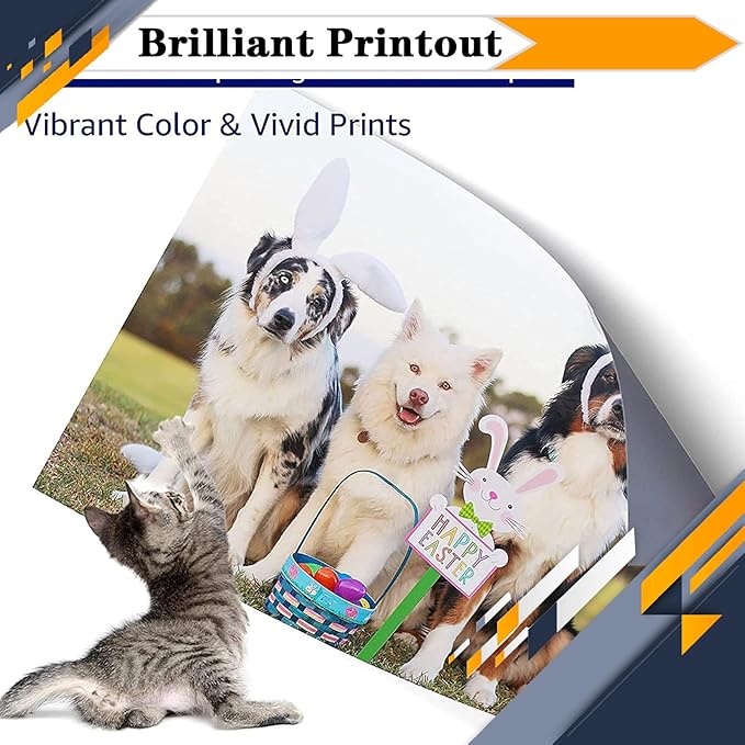 PG-260XL CL-261XL PG260 PG-260 CL261 CL-261 Ink Cartridges, Compatible for Canon TS6420a TS6420 TR7020a TR7020 TS5320 All in One Printers【High Print Volume with Chip Black*1+Color*1