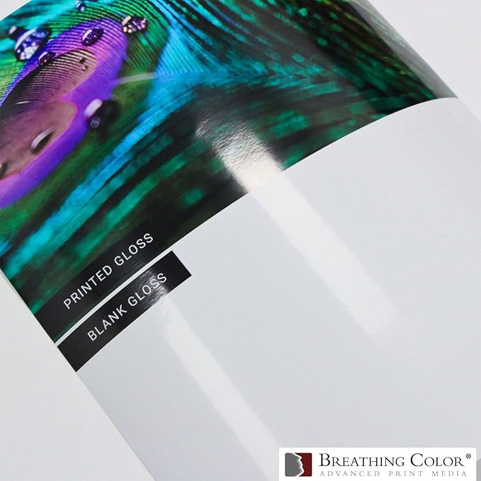 Vibrance Gloss Photo Printer Paper 10 mil 255 gsm Glossy Finish Premium Photo Paper Roll on 3inch Core 17 inches x 100 feet Works with Most Inkjet Printers Including Professional Makes and Models