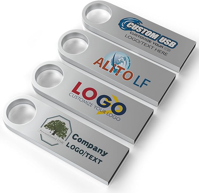 ABLAZE Custom Flash Drive 64GB 10 Pack, Personalized USB with Your Logo Metal Thumb Drives USB 2.0 Memory Stick Pendrive (Sliver)