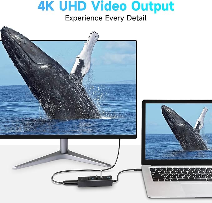 RSHTECH USB C Hub Dongle Adapter with 4K HDMI, 3 USB 3.0 Data Port, 100W Power Delivery, SD/TF Card Reader, Aluminum USB-C/Thunderbolt 3 Hub Dock for PC and Laptop, RSH-T16