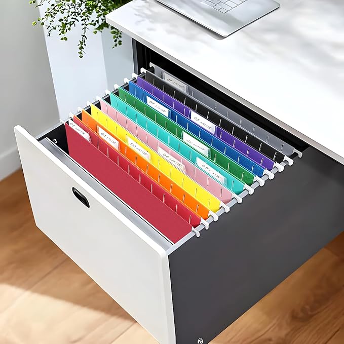 SUNEE Hanging File Folders, 50 Pack Letter Size Hanging File Folders with 1/5-cut Tabs, Stay Organized for Your Home and Office Bulk File, Documents and Paper,10 Assorted Colors