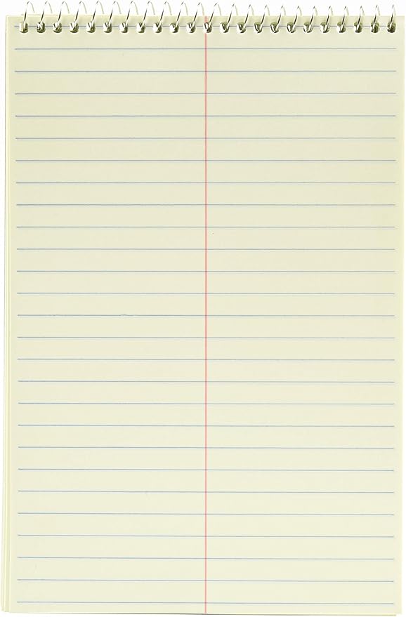 Mintra Office Steno Books (Pastel Colors 4pk - Green Tint Paper, Gregg Ruled)