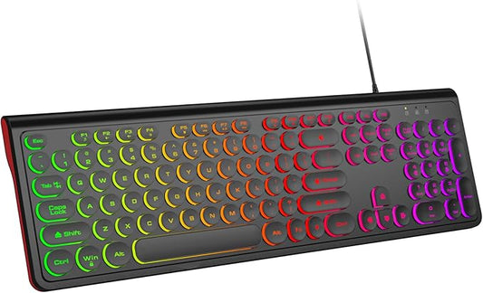 USB Wired Computer Keyboard with Backlit - Full Size Office Keyboard with Number Pad, Caps Indicators, Foldable Stands, for PC Laptop Desktop Windows 7 8 10 11 (Black)