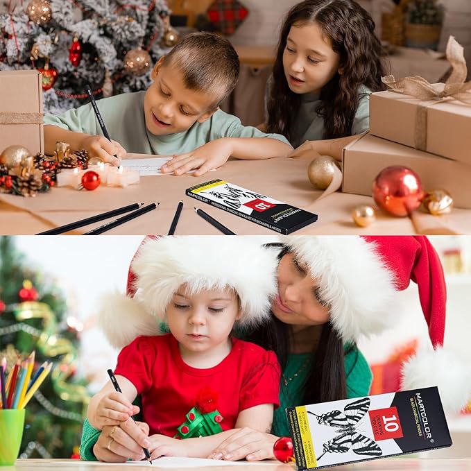 Charcoal Pencils for Drawing, 10 Pieces (S-Soft, Ex-Soft, Soft, Medium, & Hard) Black Charcoal Pencils for Sketching, Shading, Blending