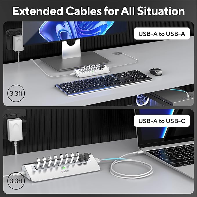Powered USB Hub, intpw 10 Port USB 3.1 Hub with 10Gbps Data Transfer, 36W(12V/3A) Power Adapter, USB Type A and Type C Cable, Aluminum USB Hub for Laptop, MacBook and Desktop Computer