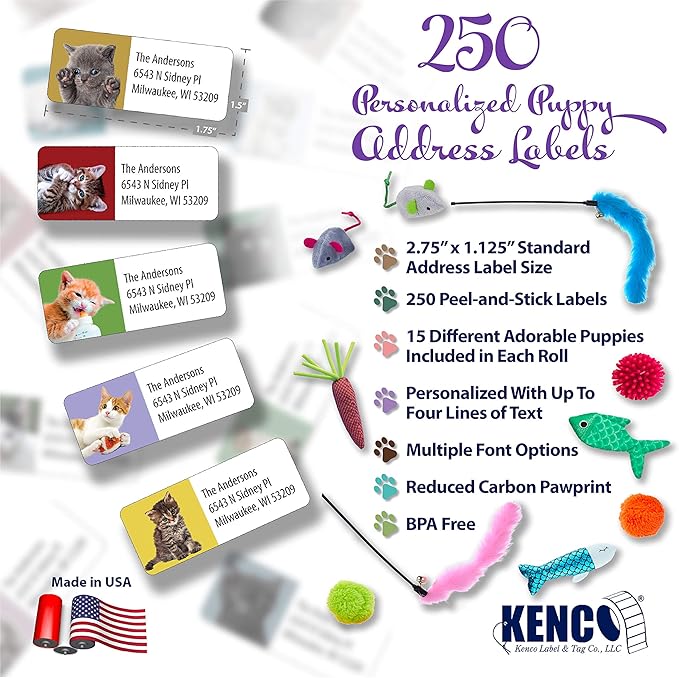 Customized Personalized Address Labels - Made in The USA by Kenco (250 Labels, Kittens)