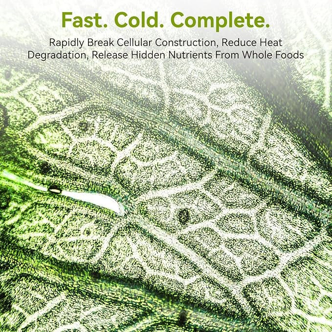 Home Blender, 1400W High-Speed Blender for Ice Crushing Power, Stainless Steel Blades, Kitchen Timer, 10 Speeds, 6 Programs for Smoothies, Frozen Drinks, Self-Cleaning, 64oz Bulk Production